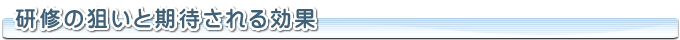 研修の狙いと効果